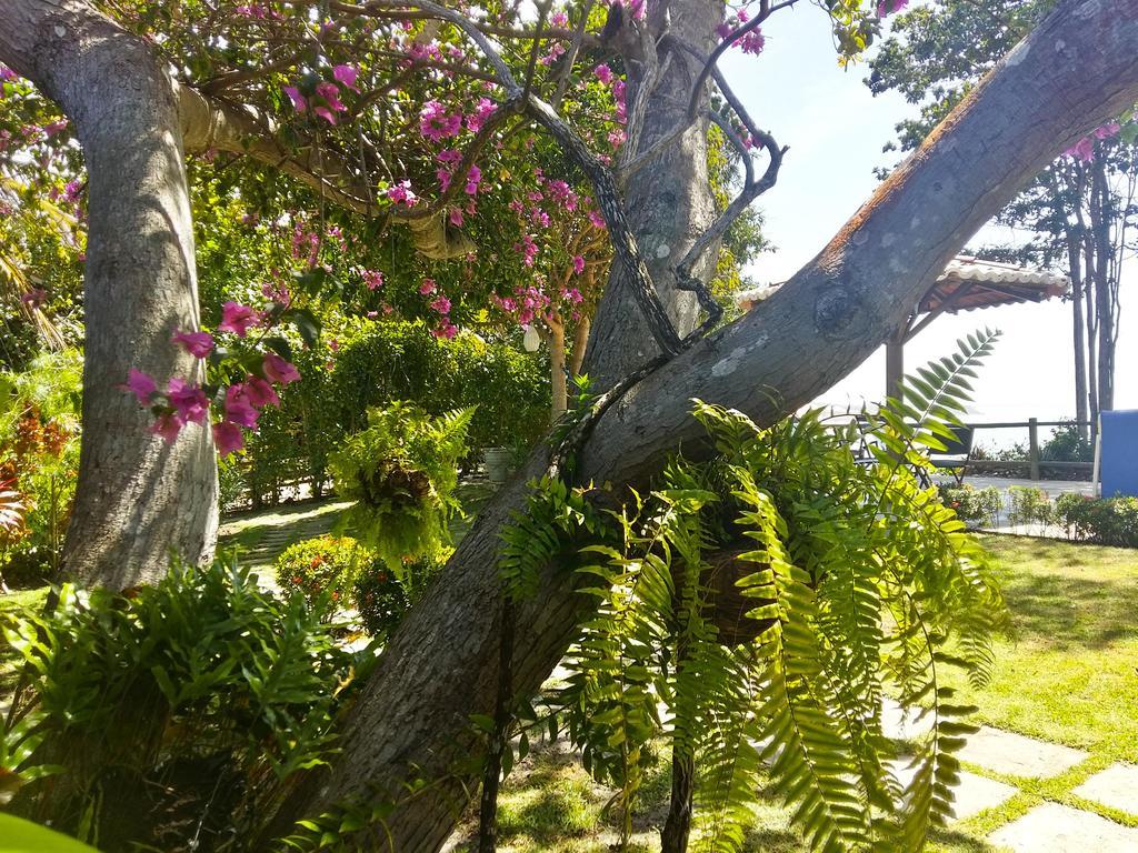 Villa Maree Praia de Pipa エクステリア 写真